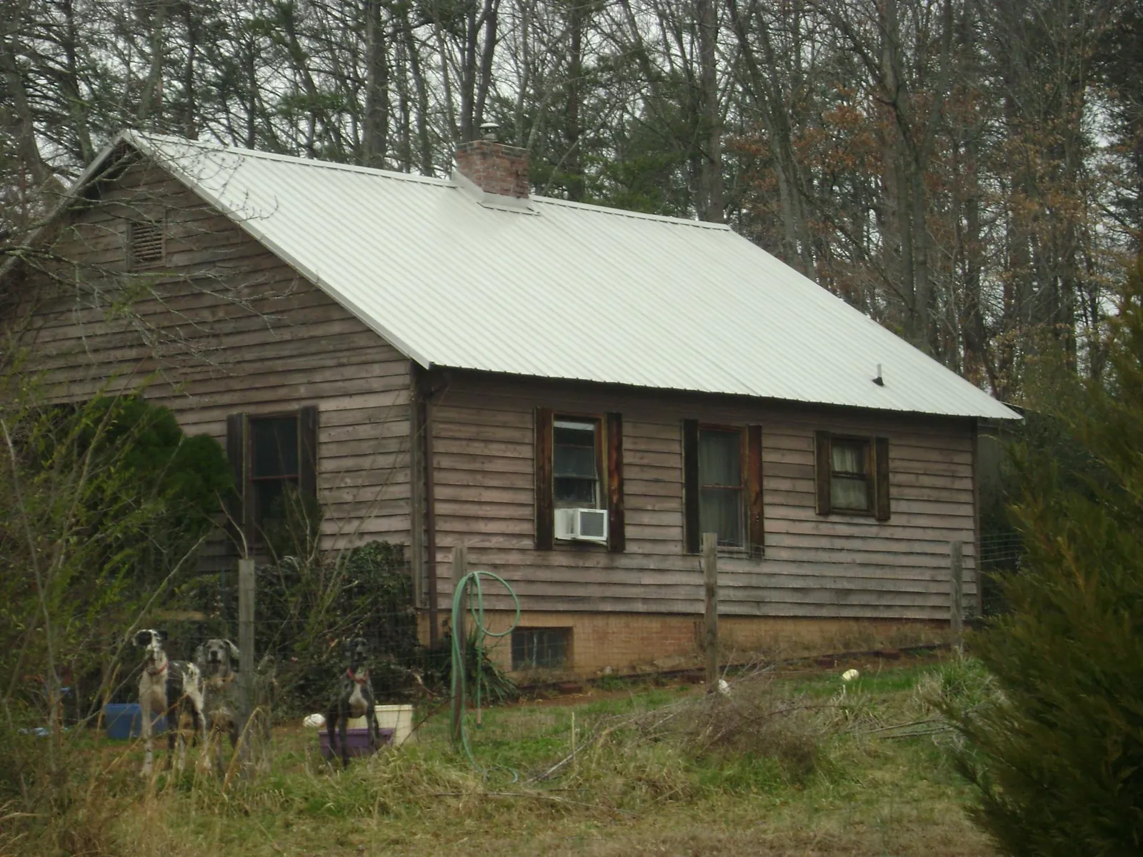 White metal roof on an old wood sided farmhouse, from a Asphalt Shingle Roof Repair job in Elco